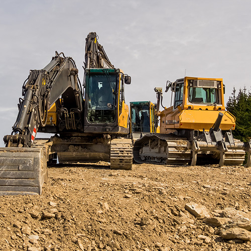 Im Dschungel der Paragrafen –...