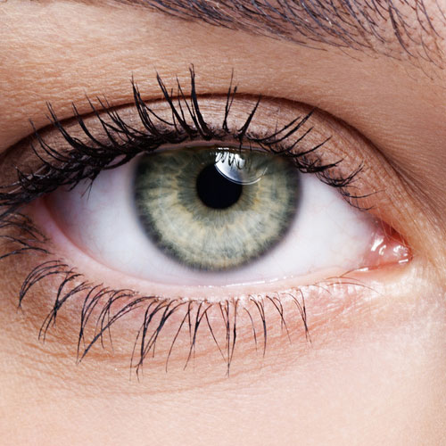 Das Auge im Fokus: Was die Ir...