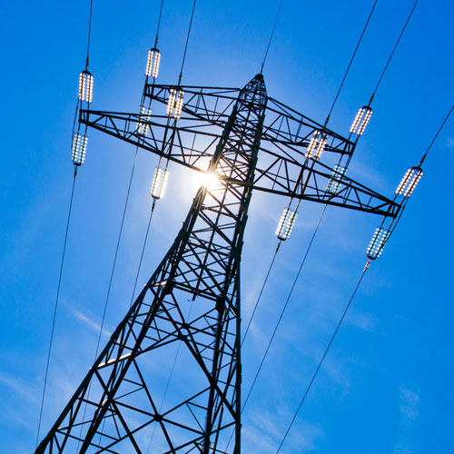 In Städten allgegenwärtig: Ka...