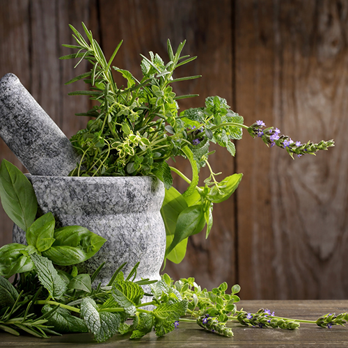 Der Gemüsegarten im Schatten:...