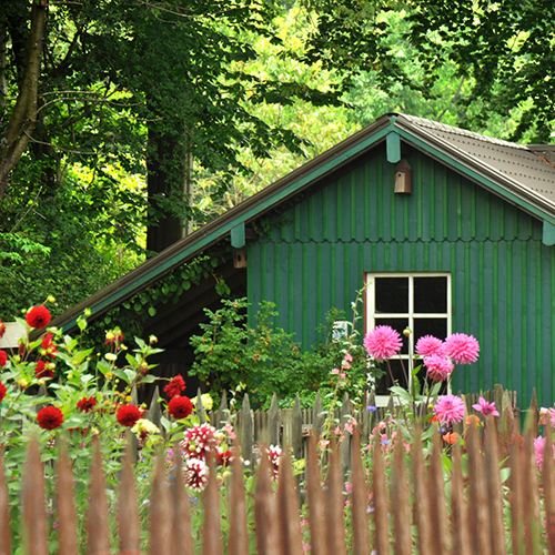 Wunschtraum Kleingärtner: Wie...