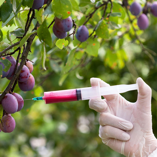 Die Dosis macht das Gift: Die...