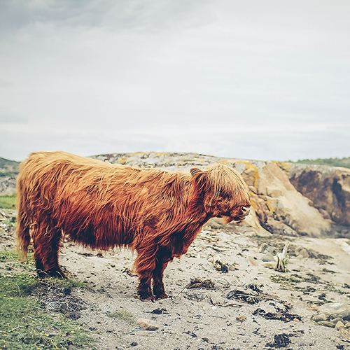 Haarpflege: Tipps für jeden H...