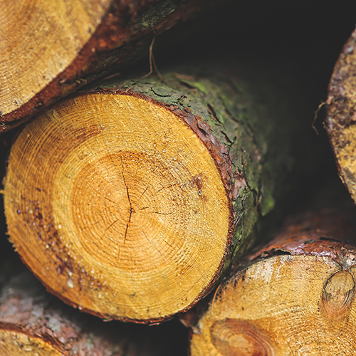 Heizen mit Holz: So schonen S...