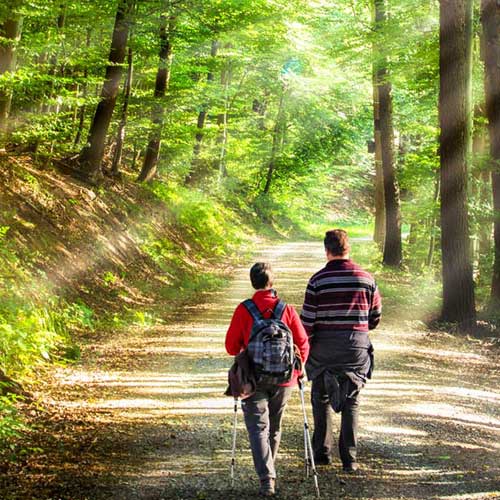 Gefangen in der Großstadt? Ra...