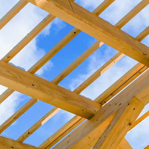 Tipps und Tricks für die Bear...