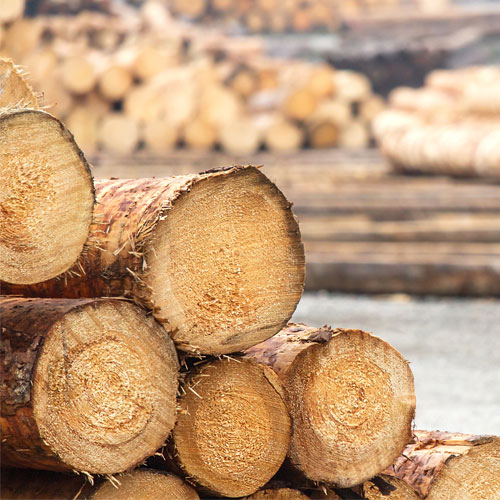 Vollholz, Furnier & Spanplatt...