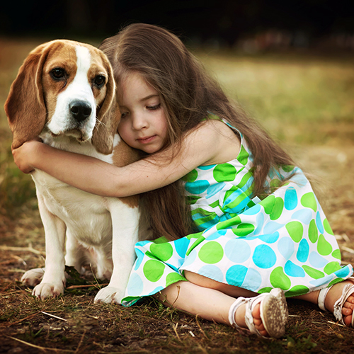 Hundekauf mit Bedacht: 9 Punk...