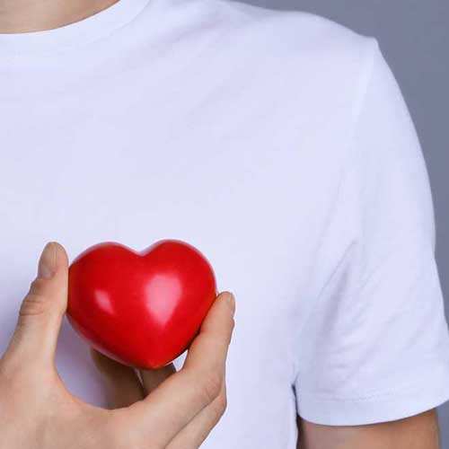 Nicht nur Herz und Nieren: Wa...