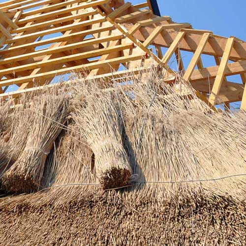 Richtig bauen und dämmen: So ...