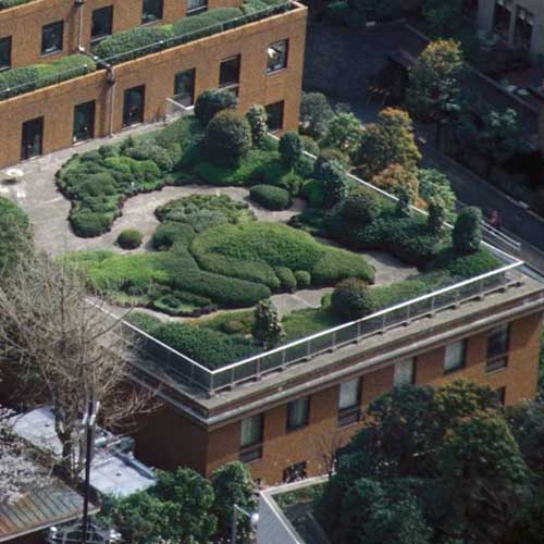 Traum einer Dachbegrünung: Ti...