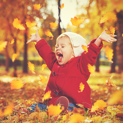 Ist Laub Abfall oder natürlic...