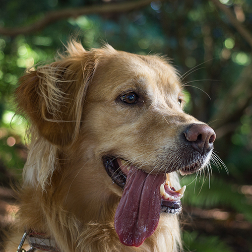 Trocken oder nass: So finden ...