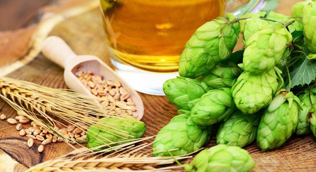 Bierbrauen – ganz einfach zu ...